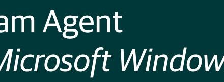 Veeam Agent for Windows – Basic Setup